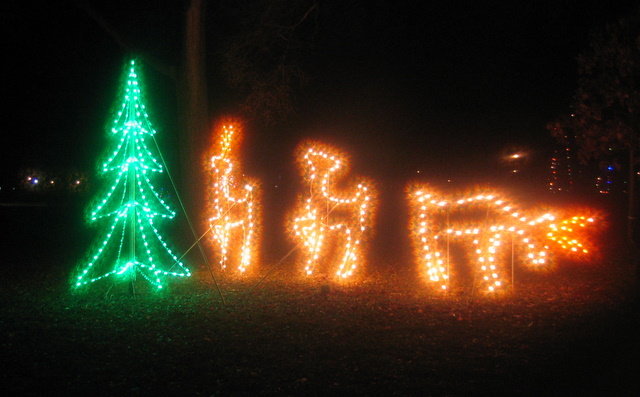 Reindeer and tree Christmas lights