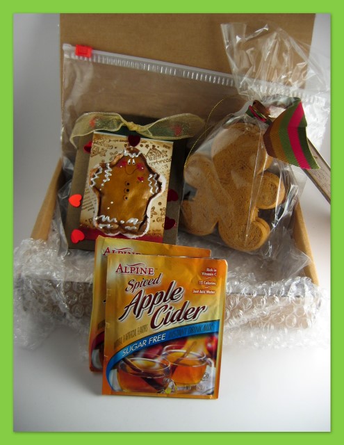 Gingerbread gift package