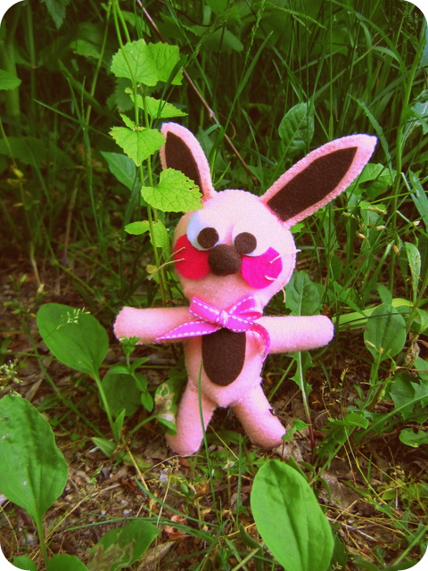 Ralphie the Bunny on the nature trail
