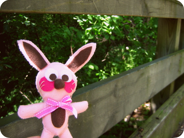 Ralphie on the bridge at the nature trail